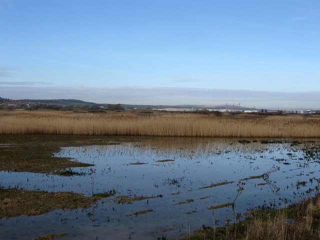 Wetland and reedbeds in the Ouse Estuary Nature Reserve looking towards Rookery Hill